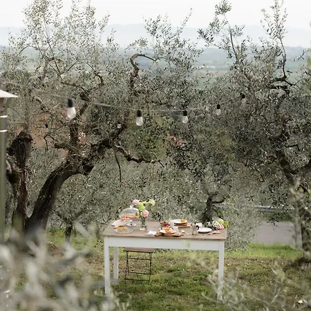 Bed & Breakfast Casa Montalgallo 4*